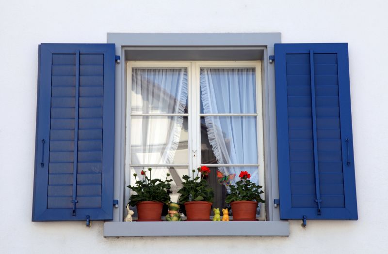 Painted shutters and accents